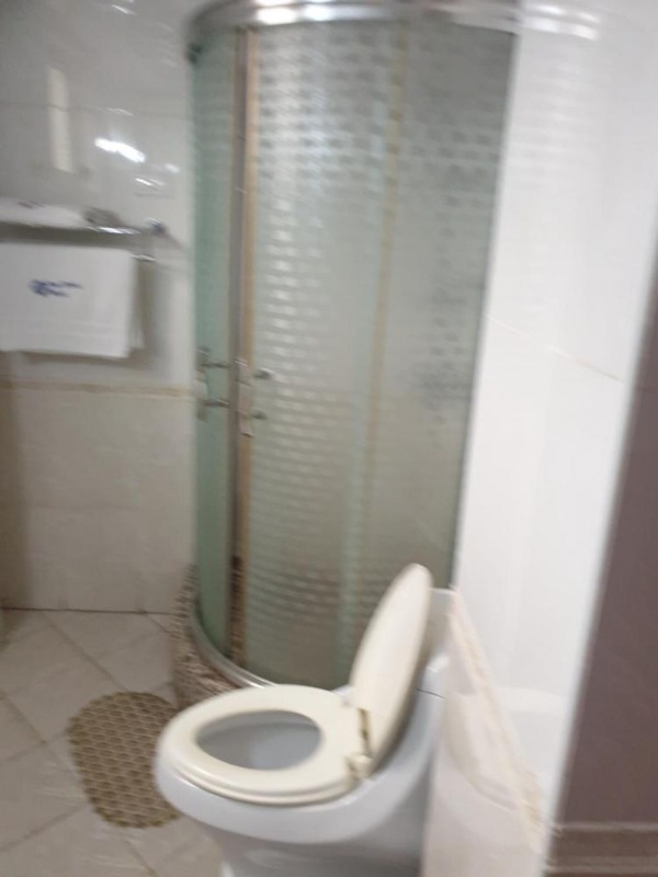 Blue Birds International Hotel image 14
